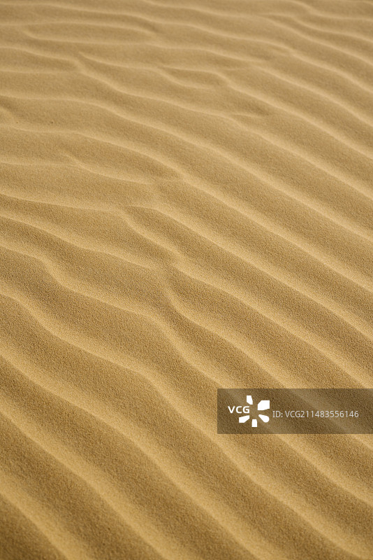 腾格里沙漠沙丘特写图片素材
