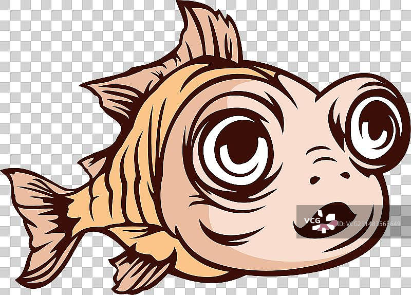 可爱的小鱼图片素材