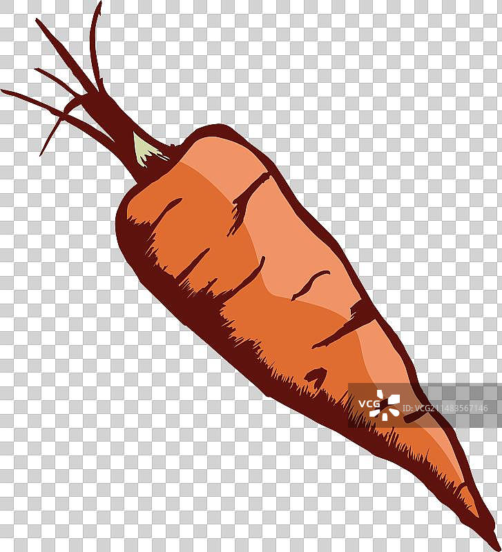 胡萝卜图片素材