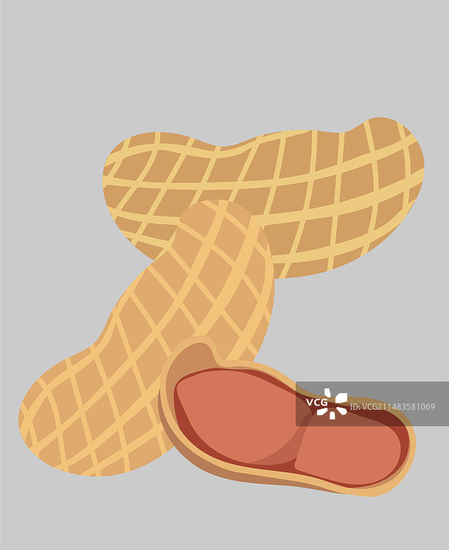 花生长寿果落花生米坚果图片素材