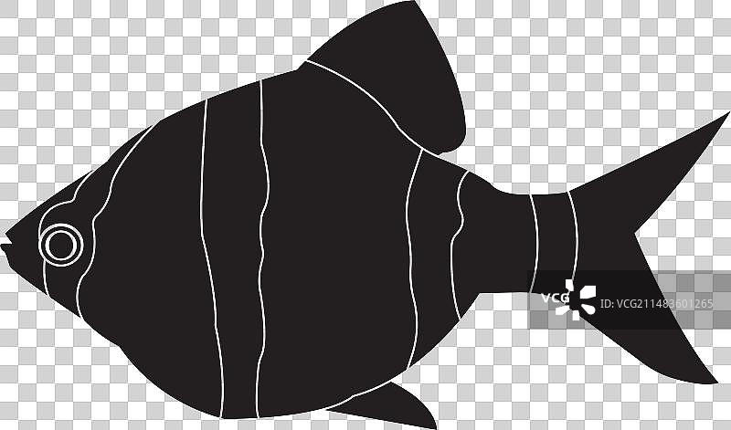 鱼的标志图片素材