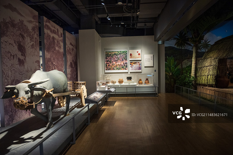 海南黎族传统民居展览馆图片素材