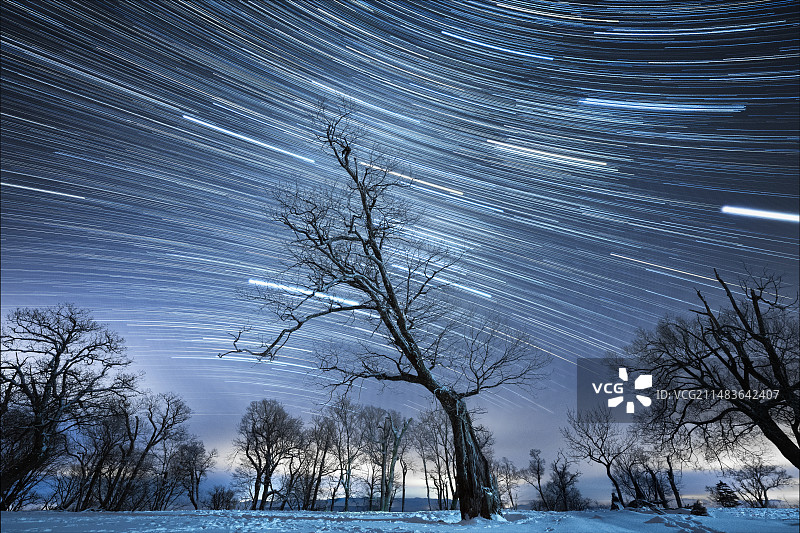 星空星轨银河古树树木冰雪冬季四方顶吉林图片素材