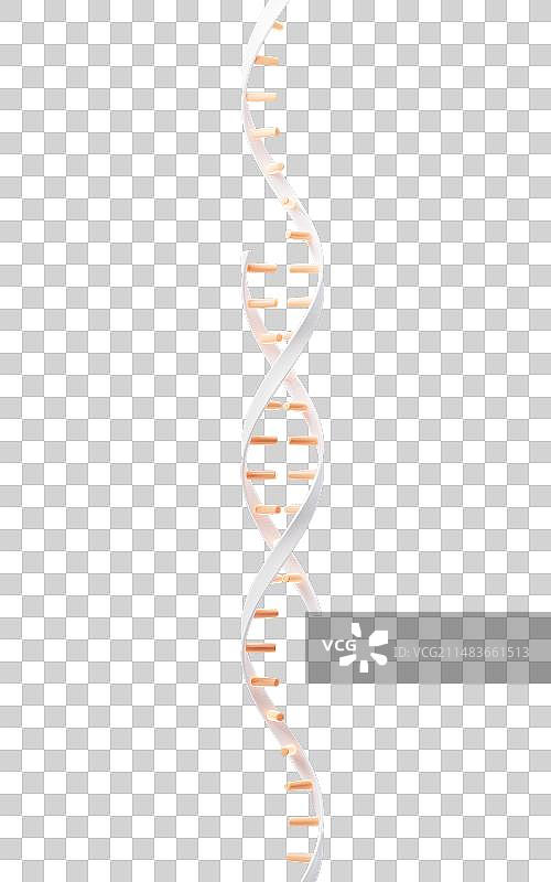 生物科技概念DNA基因3D渲染图片素材