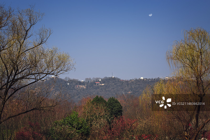从梅花山眺望春日紫金山+南京图片素材