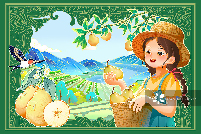 梨包装插画图片素材