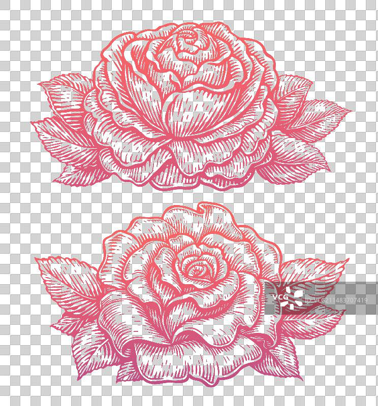 带叶子的玫瑰花图案图片素材