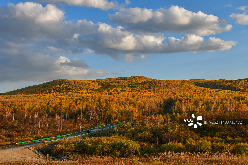 大兴安岭的秋图片素材