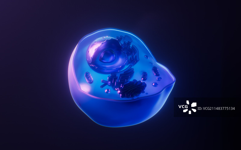 细胞结构与霓虹灯光效果3D渲染图片素材