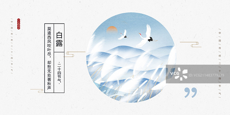 中国风二十四节气系列插画海报模版-秋天-白露  风吹白色芦苇荡山水画 植物小清新插画  横版图片素材