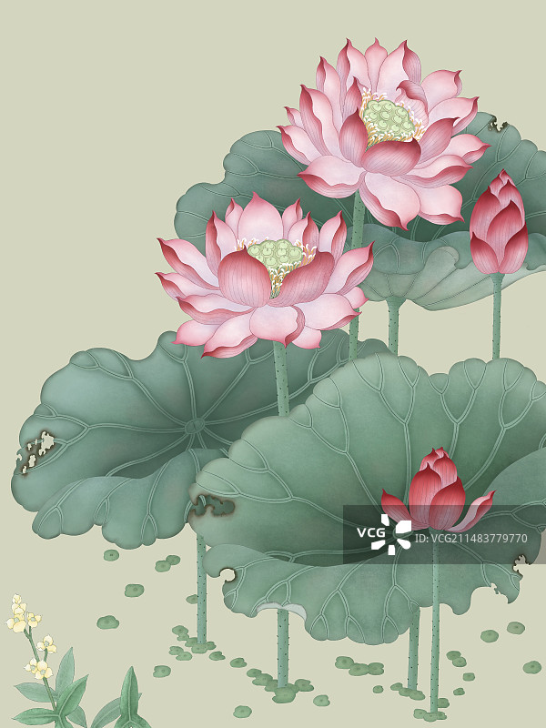 荷花手绘夏日节气大暑小暑立夏荷叶国风意境插画图片素材