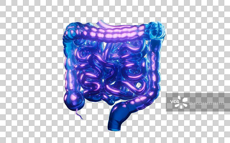 肠道与霓虹灯光效果3D渲染图片素材