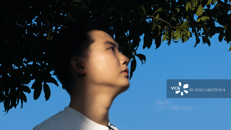 树荫下仰望天空的少年图片素材