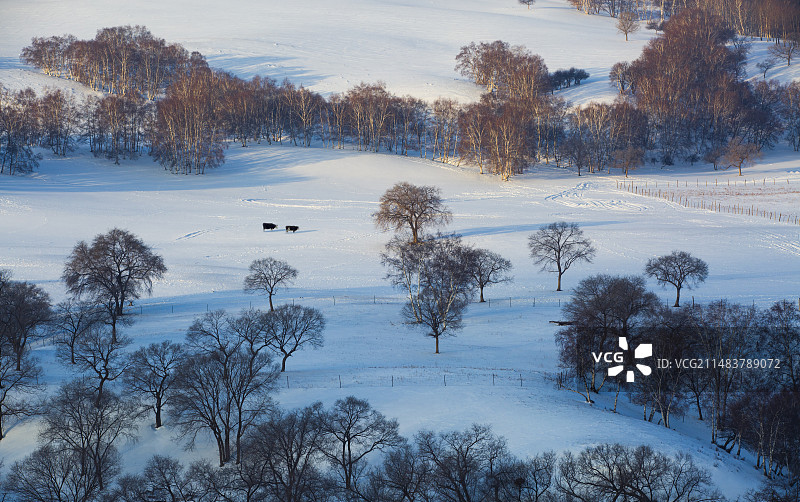 乌兰布统冬季冰雪风光图片素材