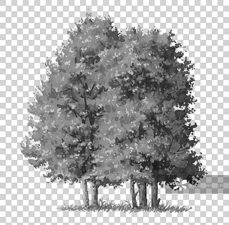 几棵树剪影图片素材