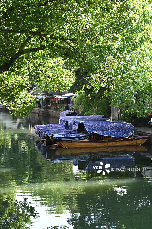 春天的苏州吴江同里古镇图片素材