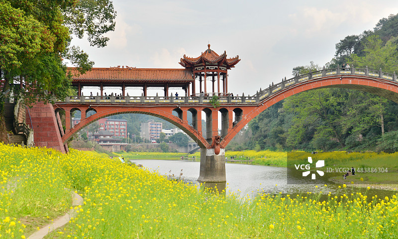 春天，公园里的拱桥和油菜花，乐山大佛风景区图片素材