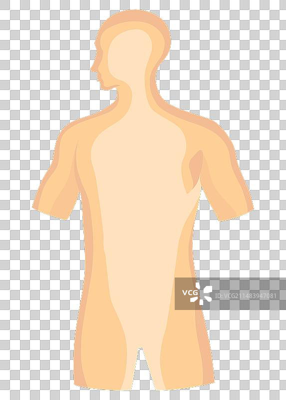 人体内部器官医学海报图片素材