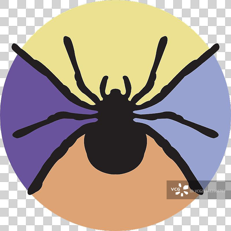 蜘蛛图标图片素材