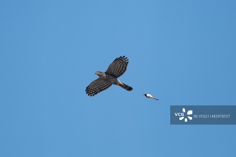 以小博大图片素材