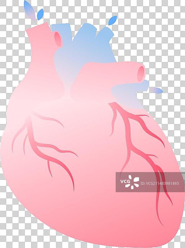 医疗插心脏搭桥手术心脏支架矢量插画图片素材