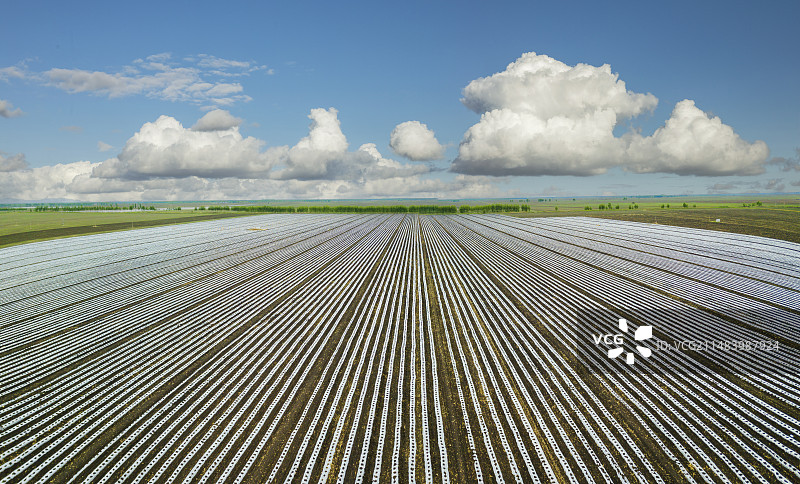 三江湿地平原覆膜大地图片素材