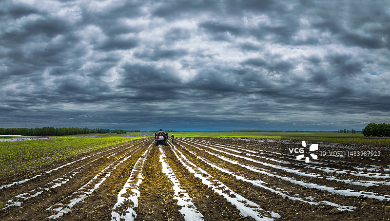三江湿地平原覆膜大地图片素材
