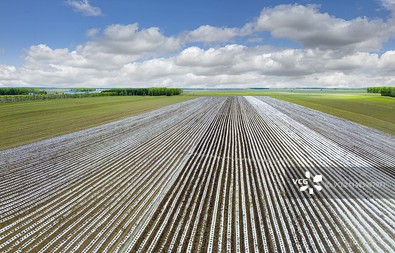 三江湿地平原覆膜大地图片素材