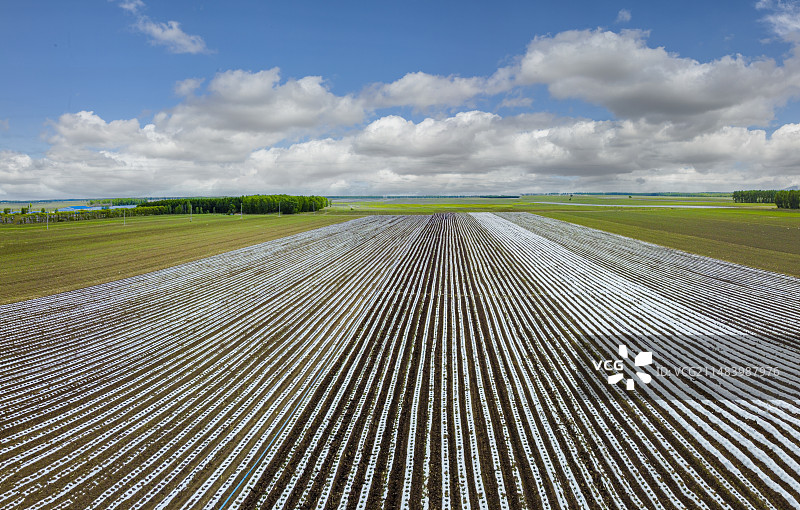 三江湿地平原覆膜大地图片素材