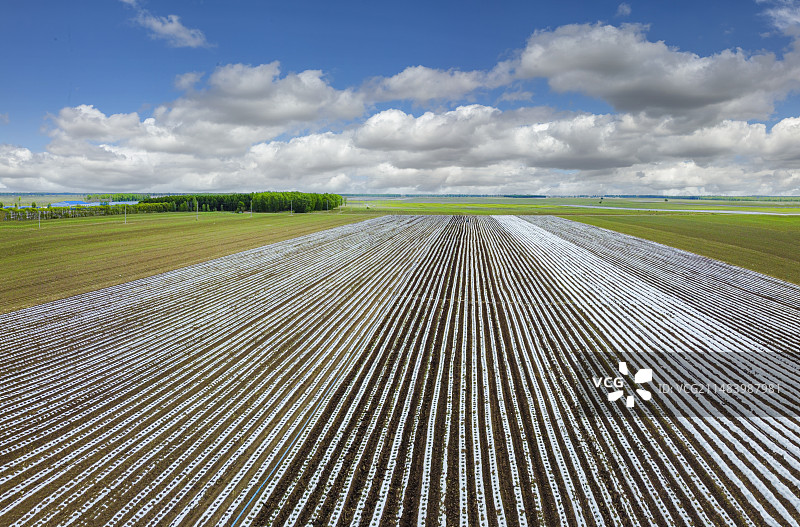 三江湿地平原覆膜大地图片素材