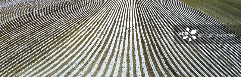 三江湿地平原覆膜大地图片素材