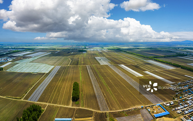 三江湿地平原覆膜大地图片素材