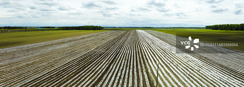 三江湿地平原覆膜大地图片素材