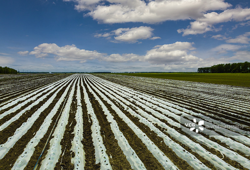 三江湿地平原覆膜大地图片素材