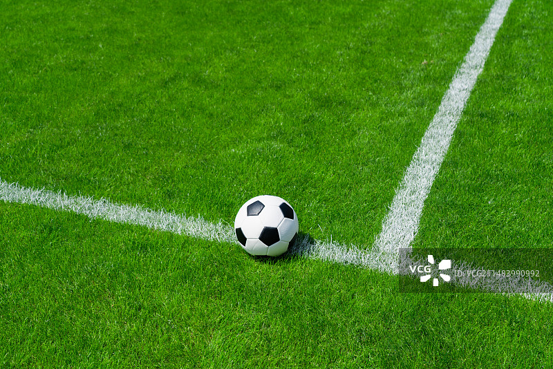 足球和草坪图片素材