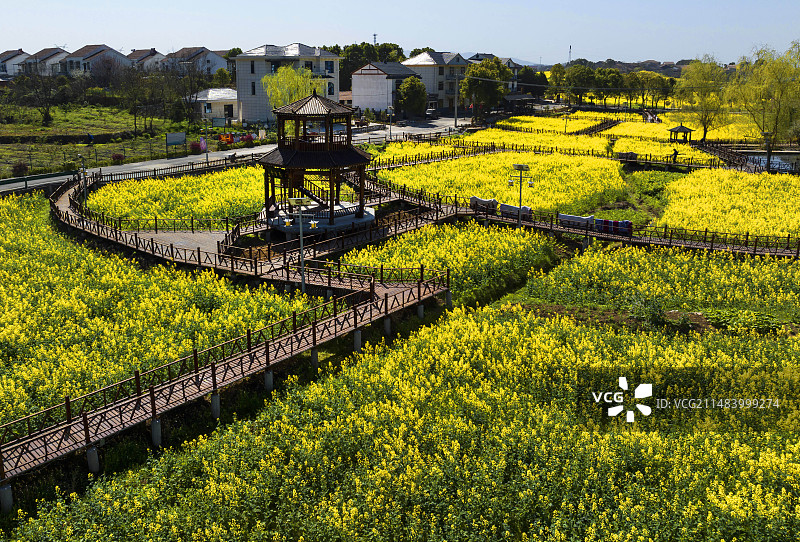 鄂州市梁子湖区东沟镇余湾村春日正好图片素材
