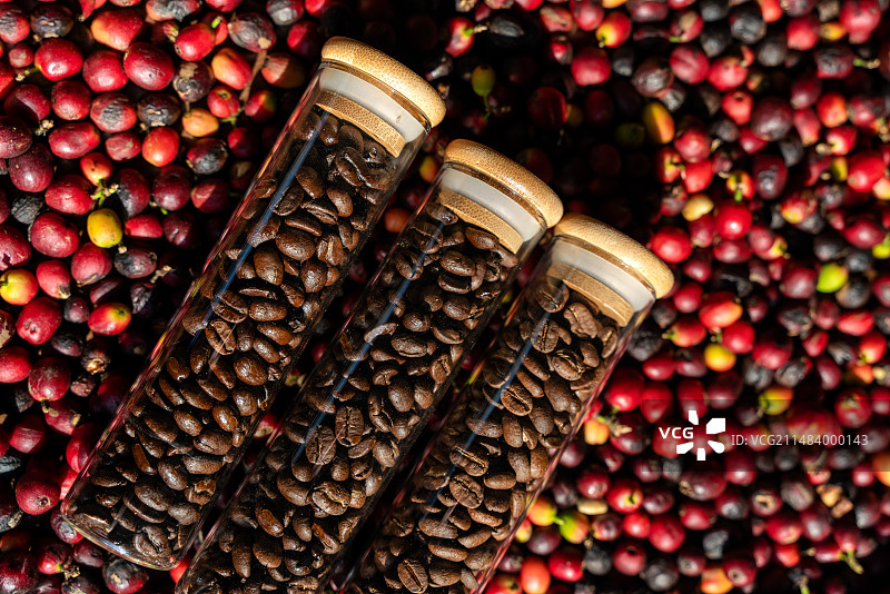 新鲜的咖啡果，装在瓶子里的咖啡豆图片素材