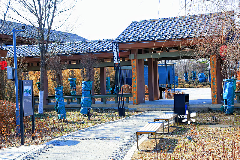 雄安新区郊野公园美景随拍郊野公园图片素材