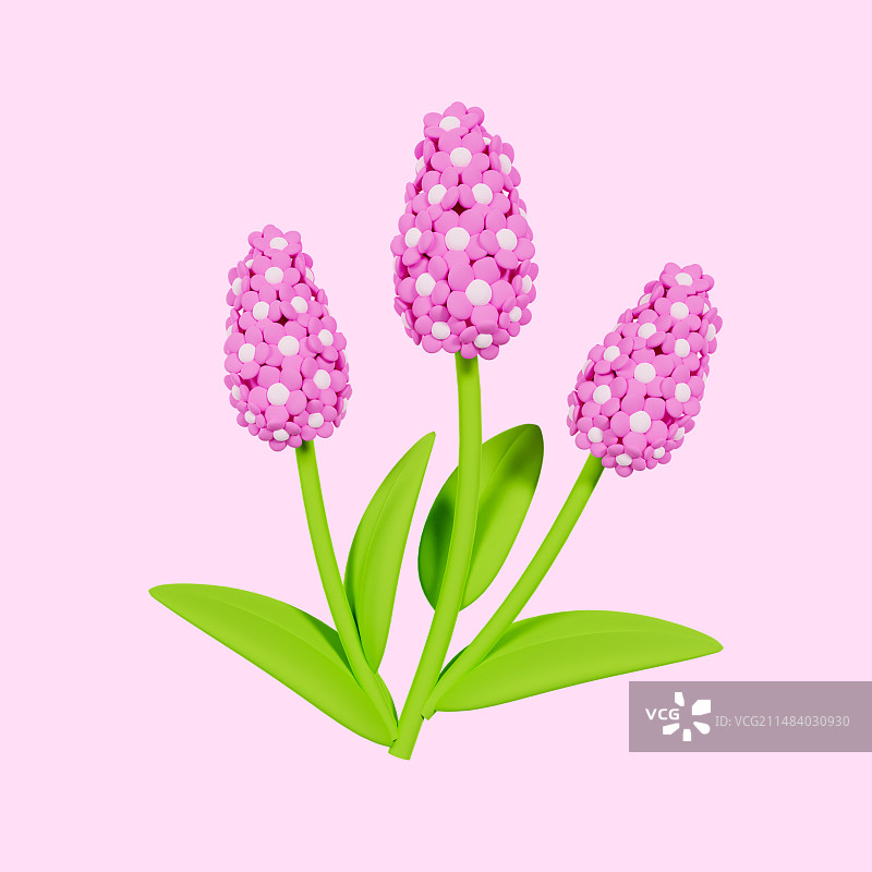 3D渲染的蓝色紫色的风信子紫罗兰春天植物花卉插画图片素材