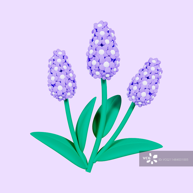 3D渲染的蓝色紫色的风信子紫罗兰春天植物花卉插画图片素材