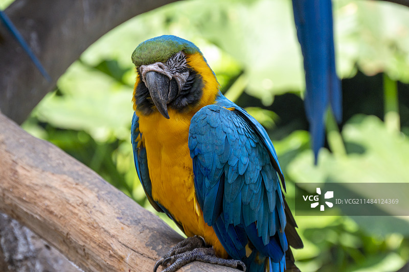 南宁动物园1图片素材