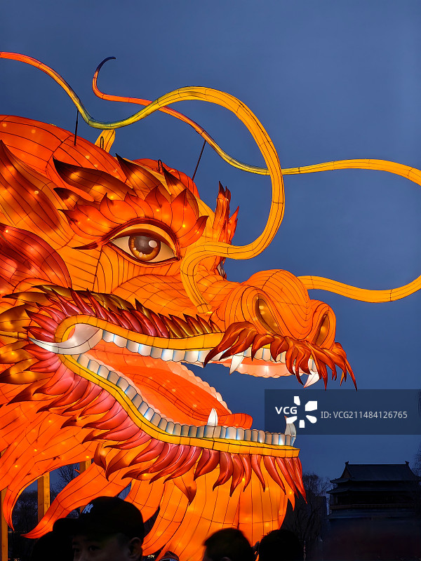 城市里的龙图片素材