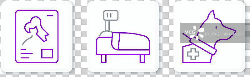 导盲犬X光片和病床图片素材