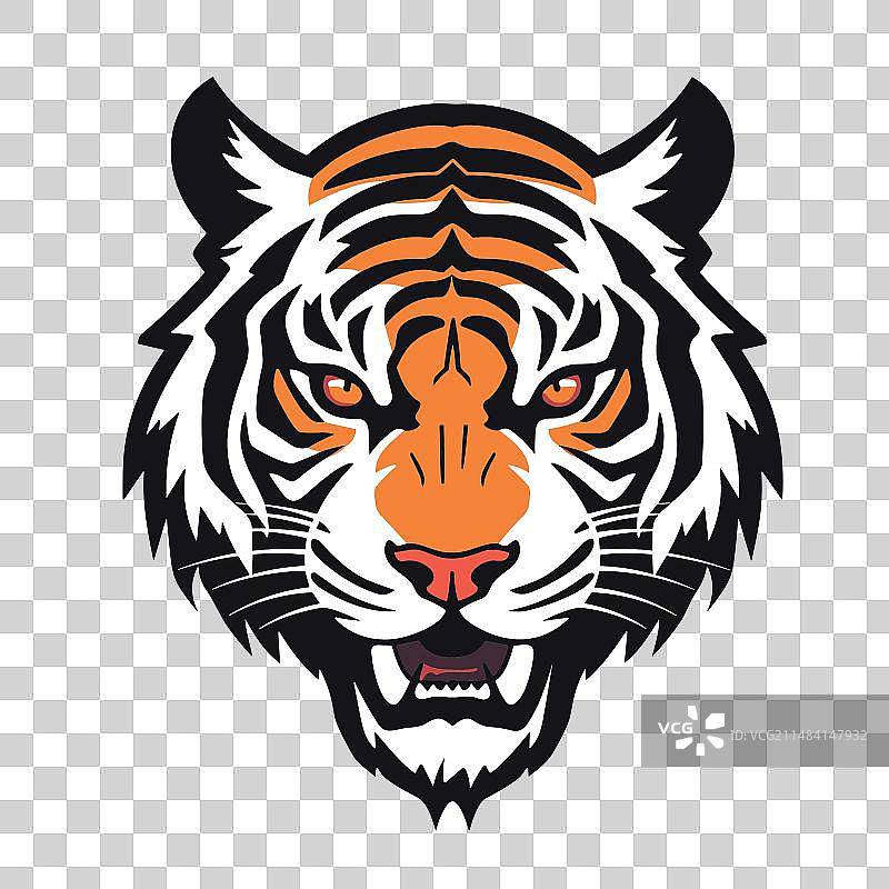 凶猛美丽的老虎头图片素材