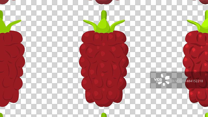 洛根莓图片素材