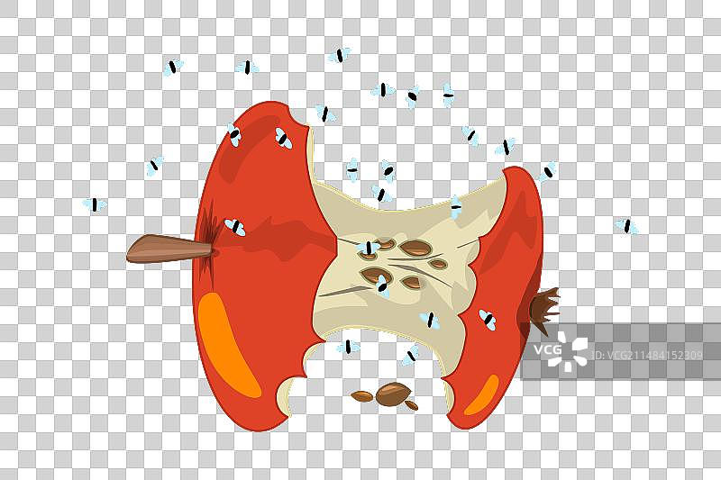 白背景上的果蝇和红色苹果核图片素材