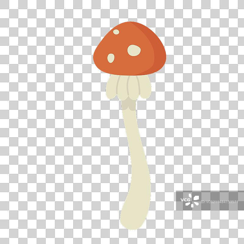 有毒森林蘑菇图片素材
