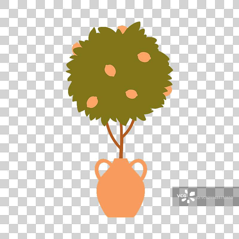 黏土花瓶中的柠檬树图片素材