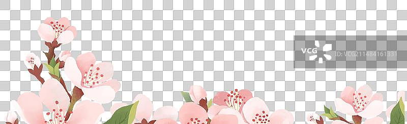 春分节气插画元素盛开的桃花枝头花簇图片素材