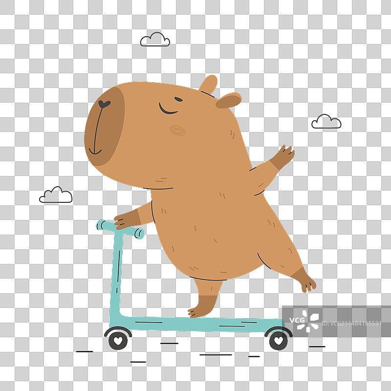 可爱的水豚骑滑板车图片素材